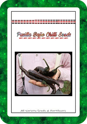 VibeX Chilli Seed(30 per packet)