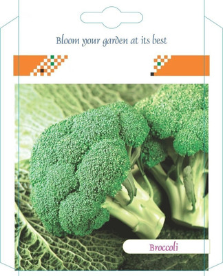 VibeX ™ XXL-33-Seeds Broccoli Seed(75 per packet)