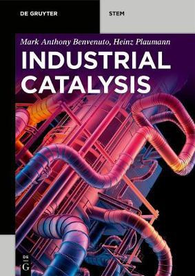Industrial Catalysis(English, Electronic book text, Benvenuto Mark Anthony)