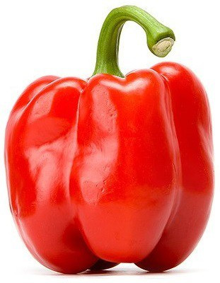 CRGO CAPSICUM , SHIMLA MIRCH Seed(75 per packet)