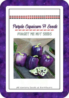 Qualtivate Capsicum Seed(200 per packet)