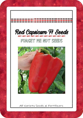 VibeX XX-1213-Red Capsicum Pepper Seeds High Quality Hybrid Variety Seed(75 per packet)