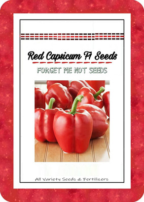 Qualtivate Capsicum Seed(50 per packet)