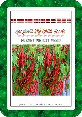 ActrovaX Speghetti Big Chilli High Quality Hybrid Variety [2000 Seeds] Seed(2000 per packet)