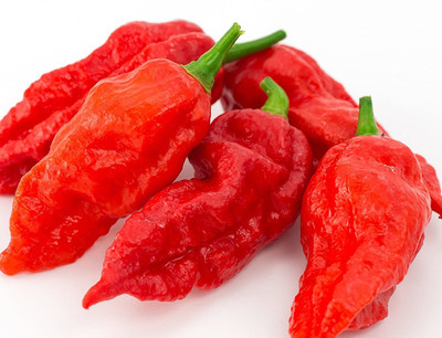 Qualtivate Chilli Seed(1000 per packet)