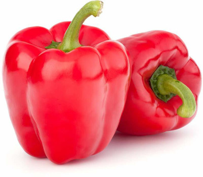 Qualtivate Capsicum Seed(1500 per packet)