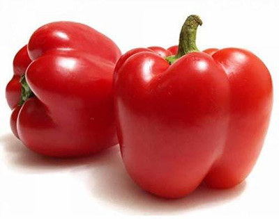 CYBEXIS LX-64 - RED CAPSICUM (SHIMLA MIRCH) - (1350 Seeds) Seed(1350 per packet)