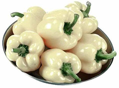 Qualtivate Capsicum Seed(50 per packet)