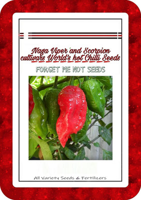 Qualtivate ® Naga Viper Scorpion Cultivars Chilli Seeds High Quality Hybrid Seed(10 per packet)
