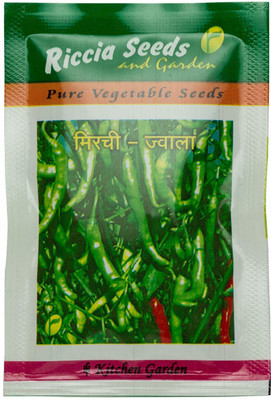 VibeX Green chilli seeds Seed(30 per packet)