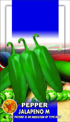 ActrovaX Pepper Jalapeno [1gm Seeds] Seed(1 g)