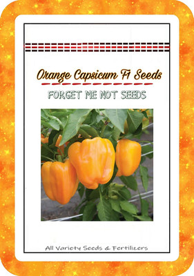 CRGO CAPSICUM , SHIMLA MIRCH Seed(225 per packet)