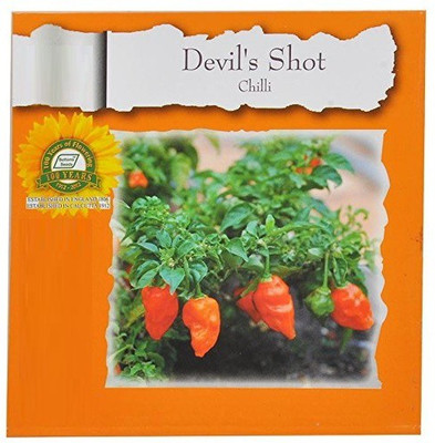 VibeX Chilli Seed(90 per packet)