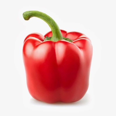 CYBEXIS VVI-55 - RED CAPSICUM (SHIMLA MIRCH) - (1350 Seeds) Seed(1350 per packet)