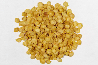 VibeX ® XX-558-Farm yellow CAPSICUM SEEDS Seed(200 per packet)