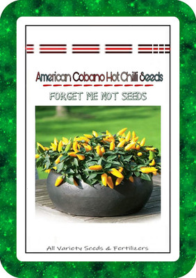 Qualtivate ® American Cobano Yellow Chilli Pepper Seeds High Quality Hybrid Seed(200 per packet)