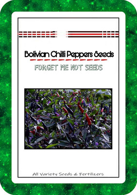ActrovaX Bolivian Chilli Pepper High Quality Hybrid [2000 Seeds] Seed(2000 per packet)