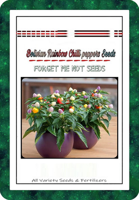 VibeX Chilli Seed(10 per packet)