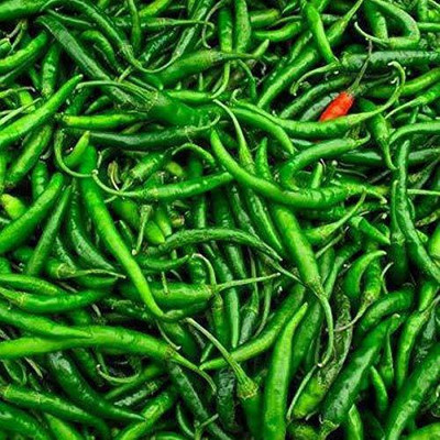 Qualtivate ™ Organic Desi Chilli G4 Seeds Seed(90 per packet)