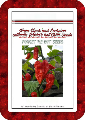 Qualtivate Chilli Seed(90 per packet)