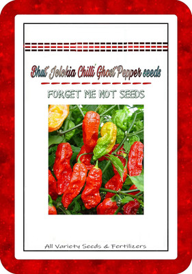 Qualtivate ® Bhut jolokia Ghost Pepper Chilli Seeds High Quality Hybrid Variety Seed(120 per packet)