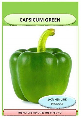 VibeX ™ XX-313-Hybrid Capsicum seeds Seed(90 per packet)