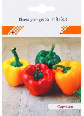 VibeX Capsicum F1 Hybrid Yellow and Capsicum F1 Hybridrid Red Seeds Seed(1000 per packet)
