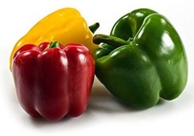 CRGO CAPSICUM , SHIMLA MIRCH Seed(25 per packet)