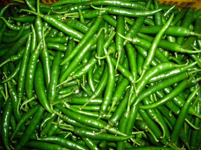 TANMAY FUN ZONE CHILLI Seed(200 per packet)