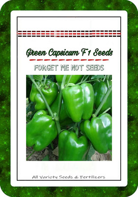 CRGO CAPSICUM , SHIMLA MIRCH Seed(20 per packet)