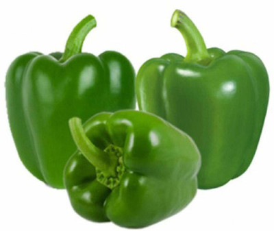 VibeX Bell Pepper Seed(75 per packet)