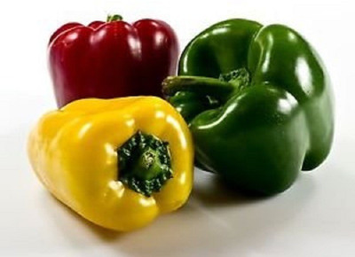 CRGO CAPSICUM , SHIMLA MIRCH Seed(125 per packet)