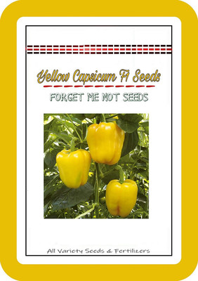 VibeX XX-1175-Capsicum Yellow Pepper Seeds Seed(100 per packet)