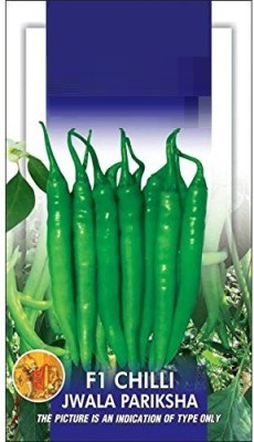 Biosnyg Chilli Seeds Hot Jwala Pariksha Hybrid 50gm Seeds Seed(50 g)