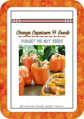 Qualtivate Capsicum Seed(1000 per packet)