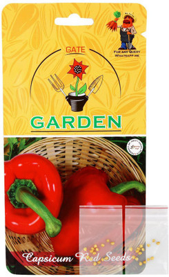 VibeX XX-805-Capsicum F1 Hybrid Red 2 in 1 Vegetable Seed Combo Seed(125 per packet)