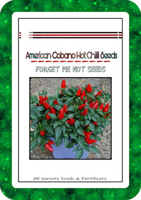 VibeX Chilli Seed(20 per packet)