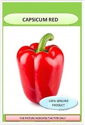 VibeX XX-246-Organic F1 Hybrid Capsicum Red Seeds Seed(150 per packet)