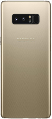 GOGURU Samsung note 8 Back Panel(Gold)