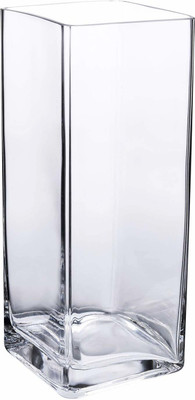 DESHILP OVERSEAS Glass Flower Vase (8 x 4 x 4 inch, Clear) Glass Vase(10 inch, Clear)