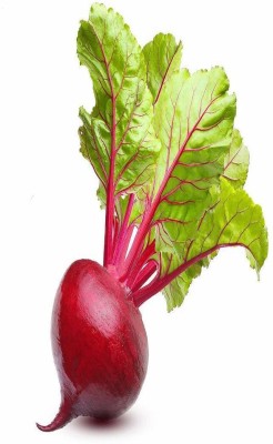 VibeX ™ XL-456-Farm™ Red beetroot seed pack-125 x Seeds Seed(125 per packet)