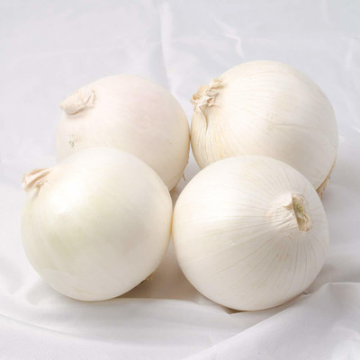 VibeX ™ XL-212-Hybrid White Onion Seeds-50 x Seeds Seed(50 per packet)