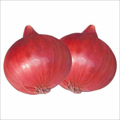 MKR Enterprises Onion Seed(250 per packet)