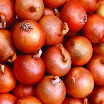 VibeX Onion Seeds Seed(150 per packet)