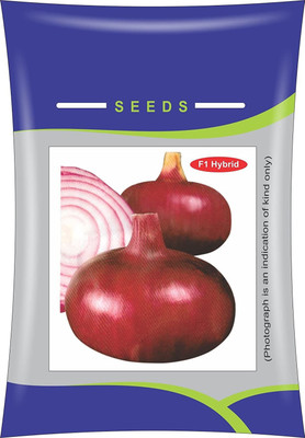 MKR Enterprises Onion Seed(125 per packet)