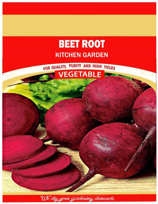 ActrovaX Dark Red Beetroot [2000 Seeds] Seed(2000 per packet)