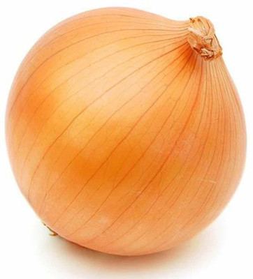 VibeX ™ XL-946-Onion/Kanda Seeds (Orange)-175 x Seeds Seed(175 per packet)