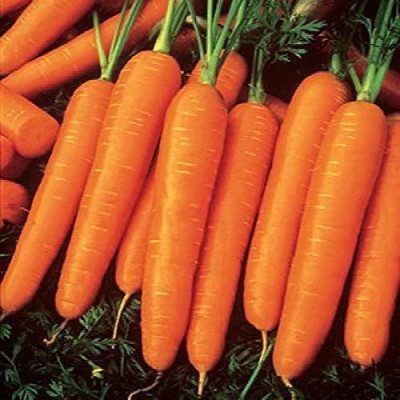Qualtivate ® Organic Desi Orange Carrot Seeds-100 Seed Seed(100 per packet)