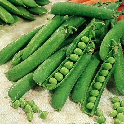 VibeX Peas Seed(300 per packet)