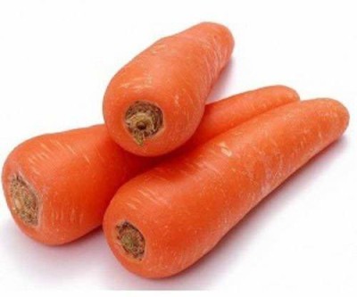 ActrovaX Carrot Daucus carota Organic Vegetables [4000 Seeds] Seed(4000 per packet)